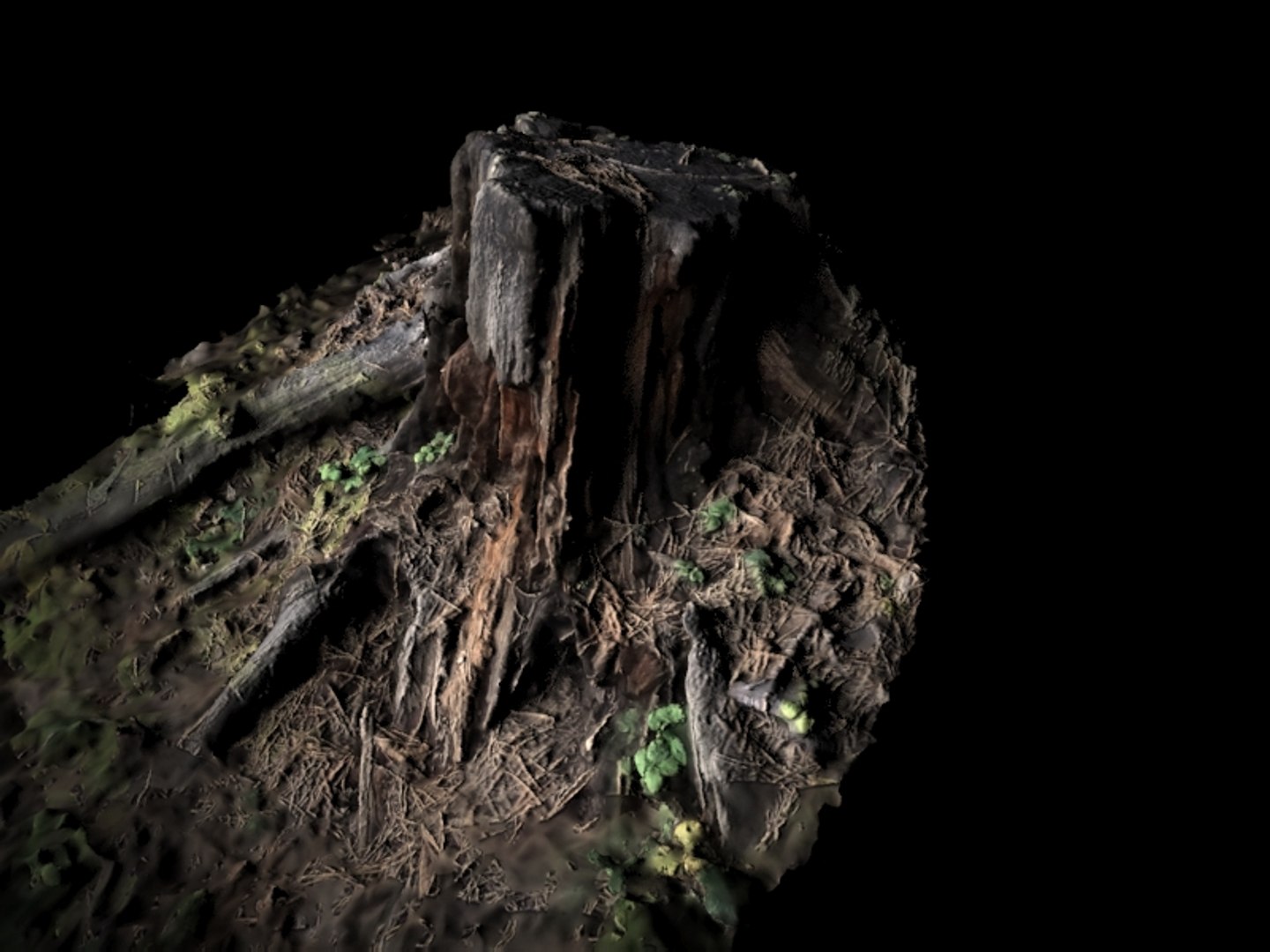 realistic stump 3D model https://p.turbosquid.com/ts-thumb/wJ/q4cFOF/Pqz91Dze/nordsidestump1render4/jpg/1542389104/1920x1080/fit_q87/5b6ab43d04a417d1a4cf6a2304ecb288bdfd7d93/nordsidestump1render4.jpg