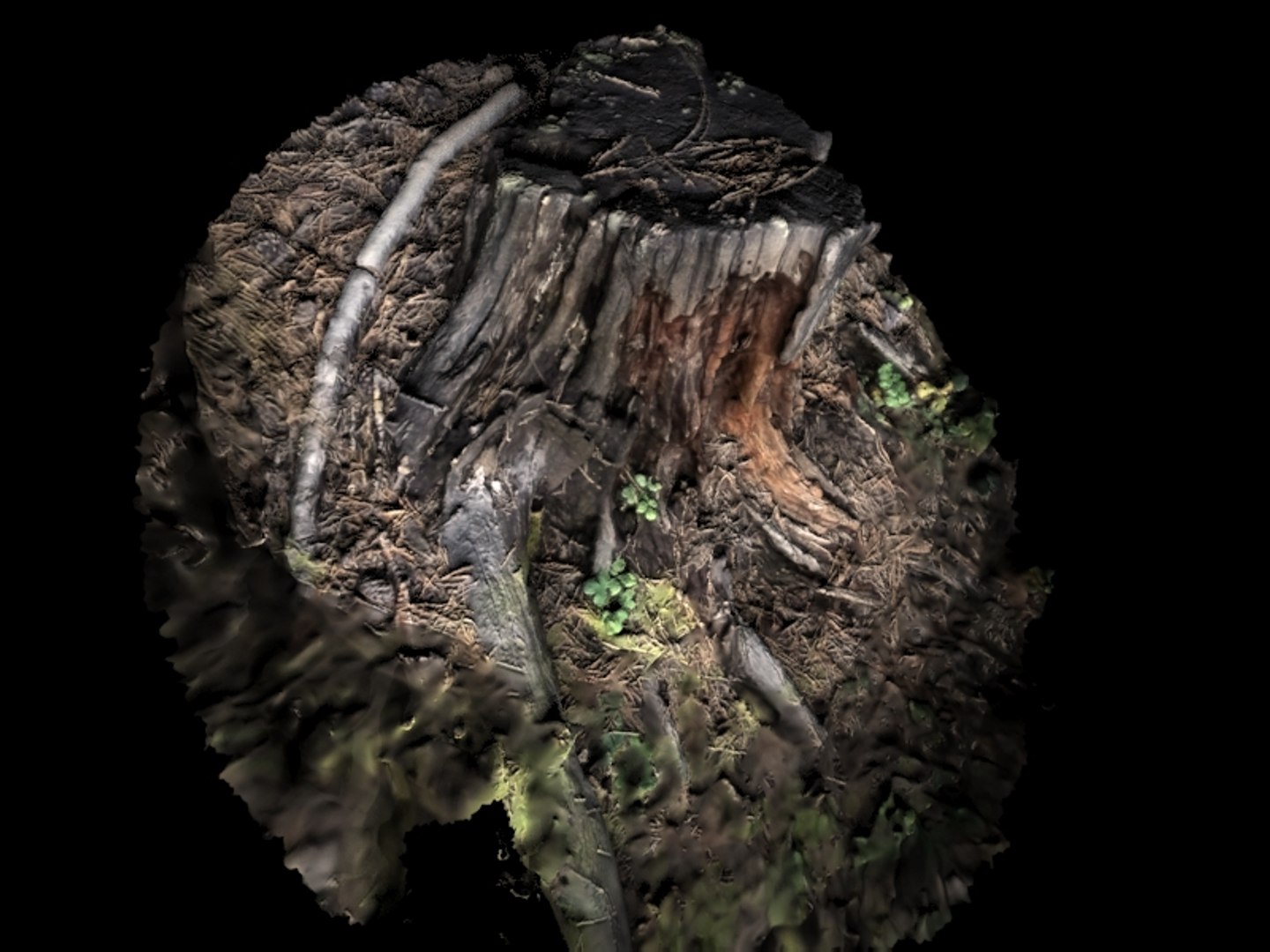 realistic stump 3D model https://p.turbosquid.com/ts-thumb/wJ/q4cFOF/Qse2uG3K/nordsidestump1render2/jpg/1542389055/1920x1080/fit_q87/4f504badb70aa4739e066682d96d9ea37b944356/nordsidestump1render2.jpg