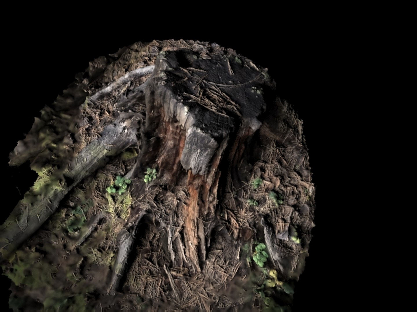 realistic stump 3D model https://p.turbosquid.com/ts-thumb/wJ/q4cFOF/nbyImGOq/nordsidestump1render5/jpg/1542389116/1920x1080/fit_q87/0df1b0bea04bec83bf6d5e34190b11e063a26d76/nordsidestump1render5.jpg