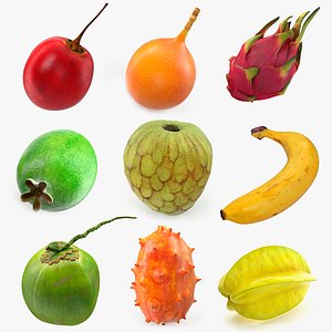 Exotic Fruits Collection 3 model