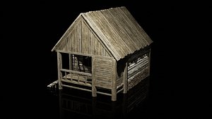 HOUSE VILLAGE 3D