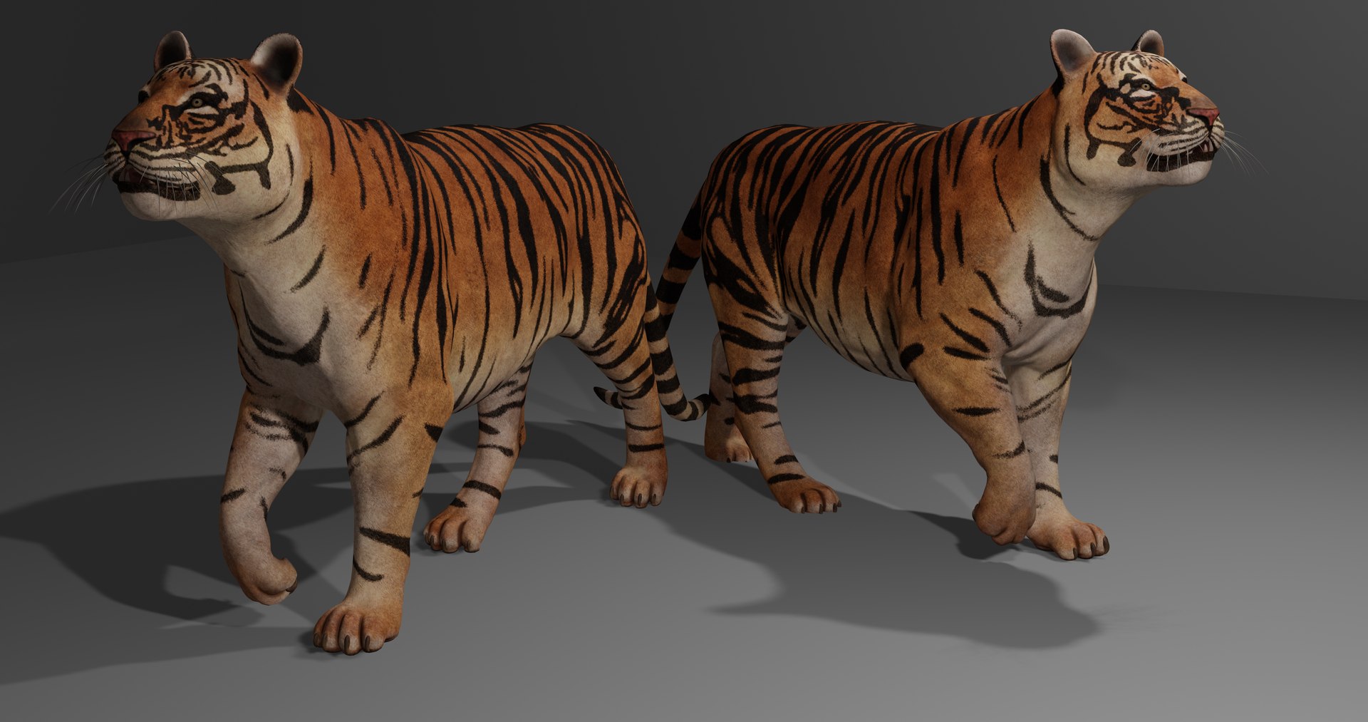 realistic bengal tiger 3D Model