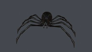 spider low poly