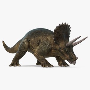 Triceratops Walking Pose 3D Model