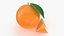 Ganze Orange mit Scheibe