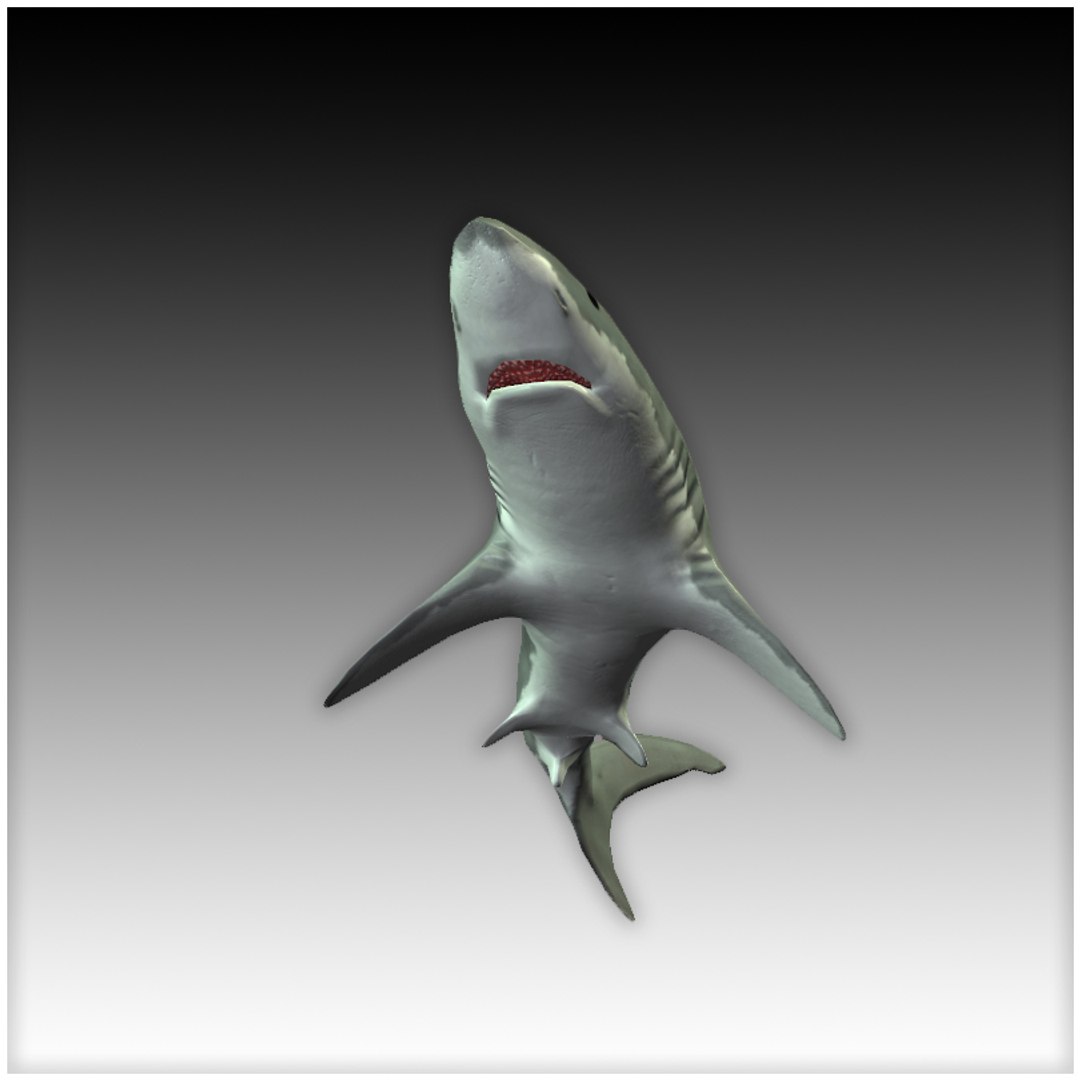 Games Sharks 3d Model