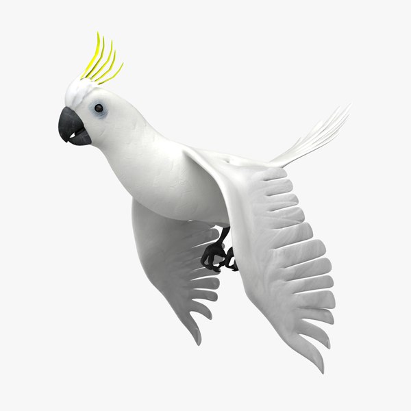 canary flying animation 3d 3ds