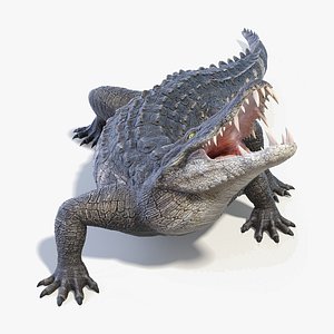Kaprosuchus Animated 3D model