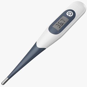 real thermometer 3D model