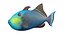 50 Fish Sea Creature Collection v3