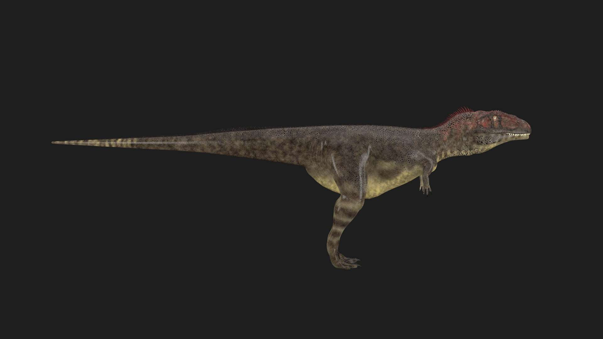 3d Mapusaurus Model Turbosquid 1739401