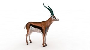 Thomson gazelle 3D model