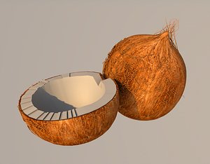 3D coconut model