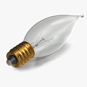 Flame Light Bulb 3D model