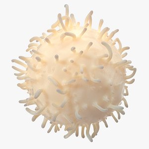 White Blood Cell 3D Model