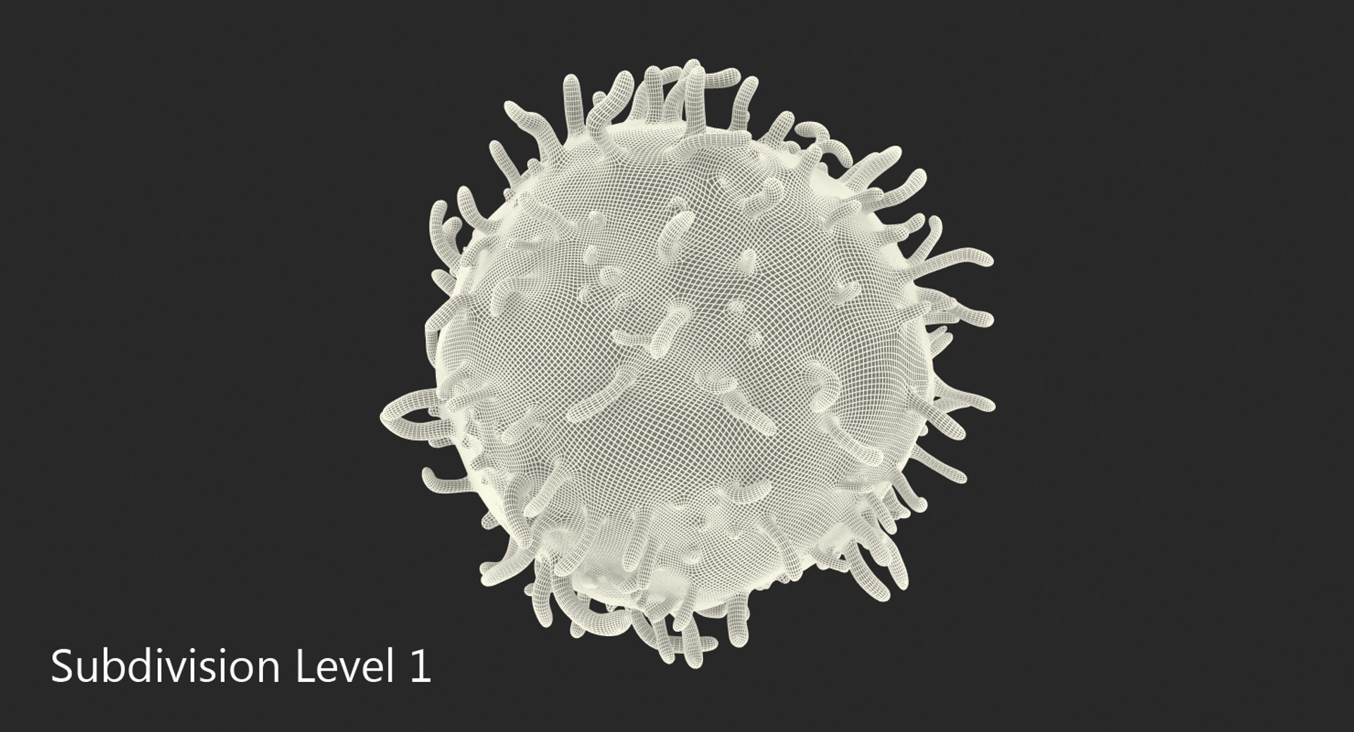 White Blood Cell 3D Model - TurboSquid 1346854
