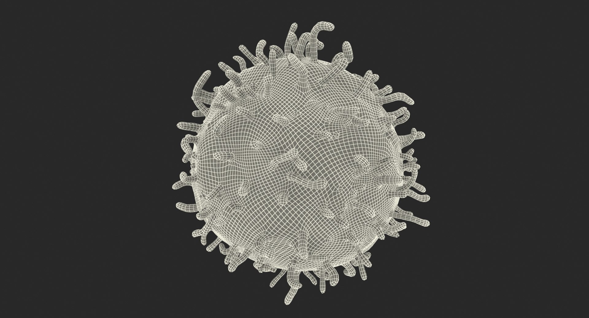 White Blood Cell 3D Model - TurboSquid 1346854