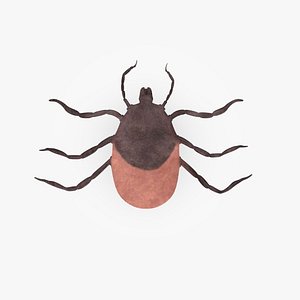 tick larva