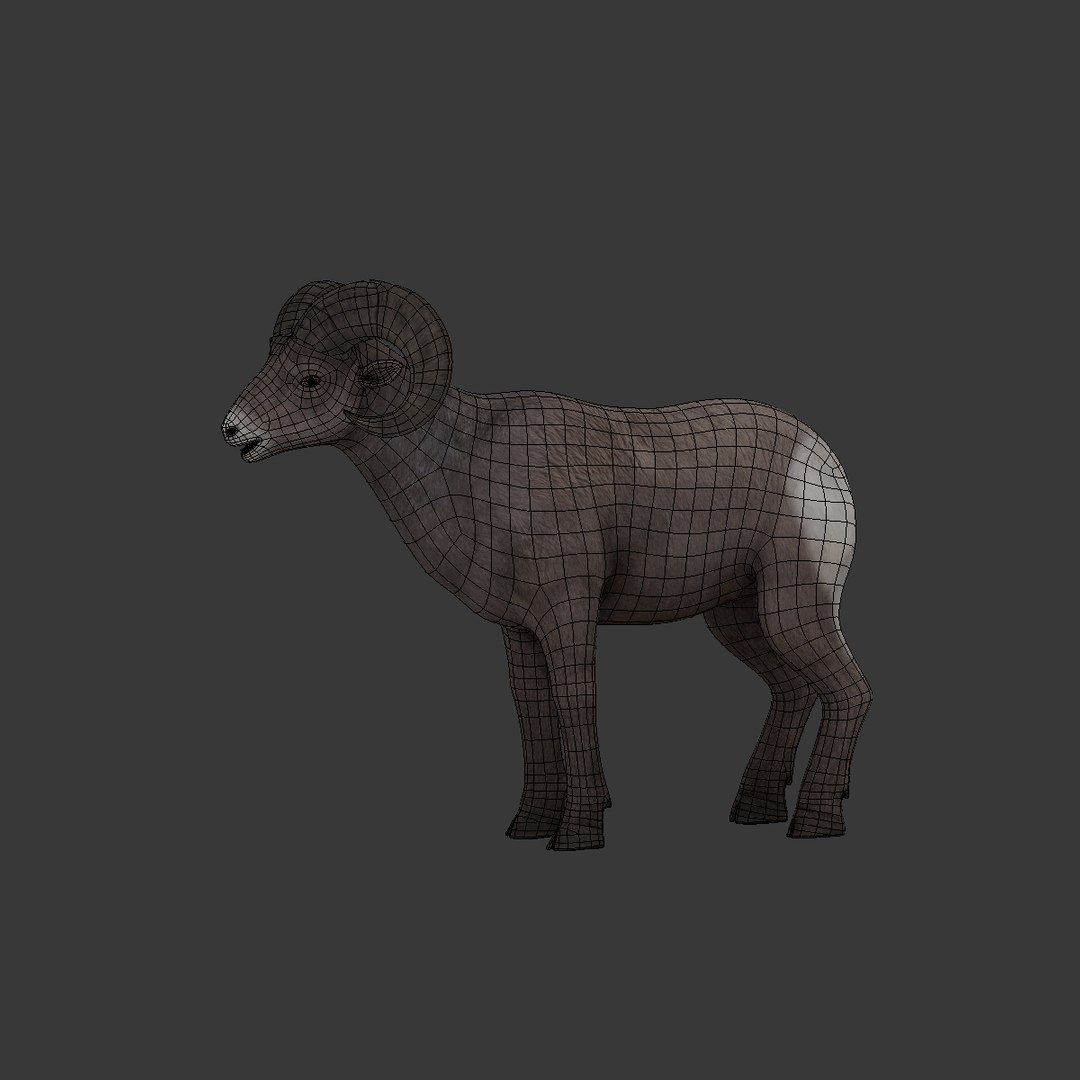 3d model bighorn sheep https://p.turbosquid.com/ts-thumb/wL/LF9LMB/mEXdG0fH/bighornsheep09/jpg/1451204025/1920x1080/fit_q87/f8e06523cd364af57b16c5fe787039abc9b9a25e/bighornsheep09.jpg