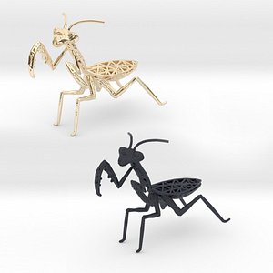 Praying Mantis