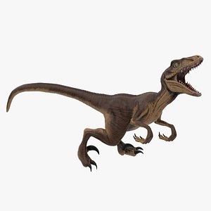 Velociraptor Rigged 3D