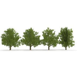 Oak Low Poly V2 3D model