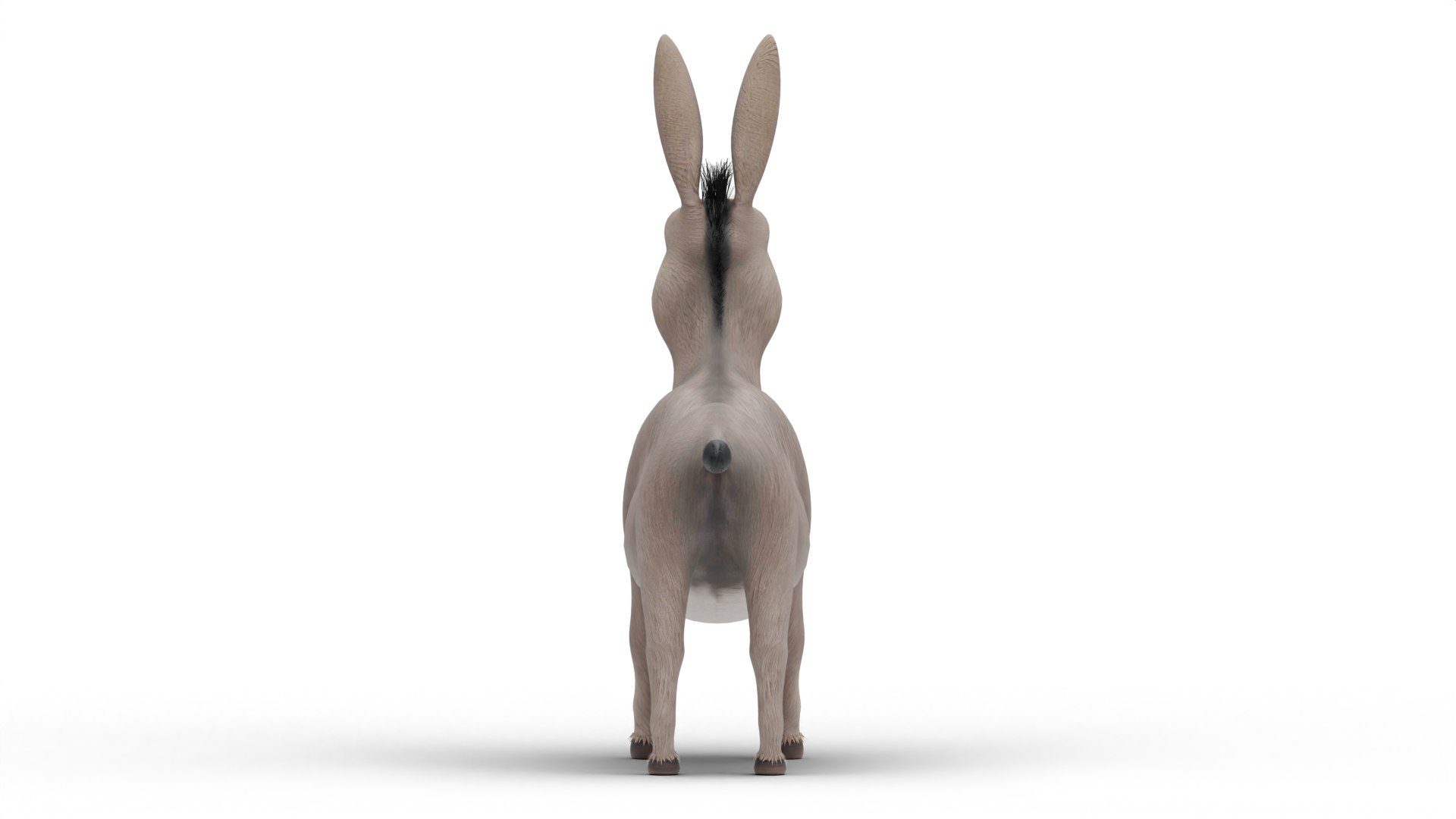Donkey 3D model https://p.turbosquid.com/ts-thumb/wL/dc7n3l/Iy/4/png/1755794938/1920x1080/fit_q87/e958d6cfde39454f87f630664e1e0ea7655f1419/4.jpg