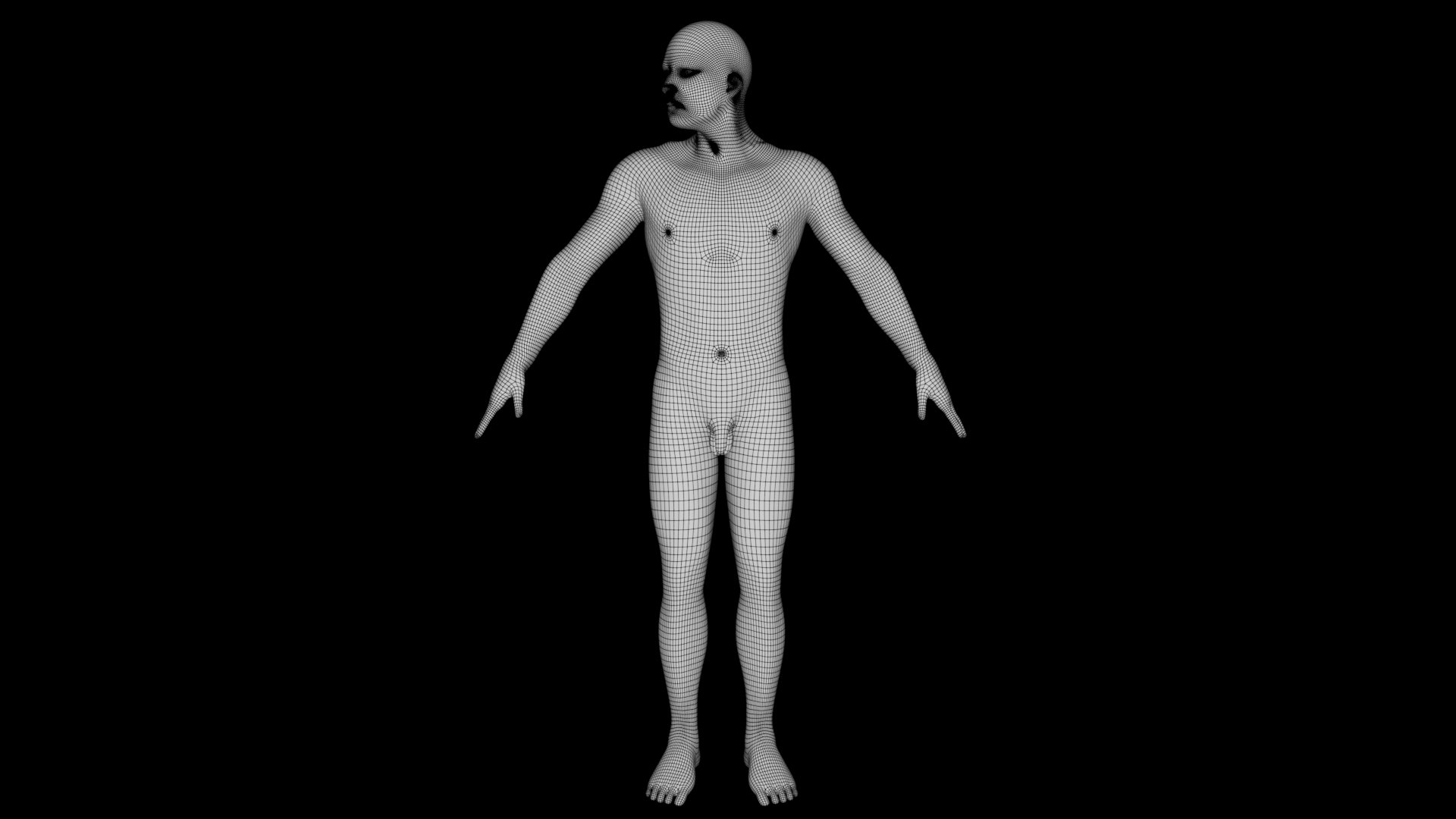Human Anatomy-Endocrine System Model - TurboSquid 2229867