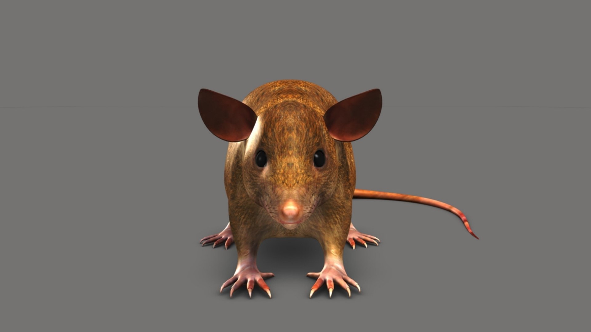 mouse mice small model https://p.turbosquid.com/ts-thumb/wL/j3EmPA/ZKcoGOGM/b1634mouse_3/jpg/1520410013/1920x1080/fit_q87/643e2272f5894e3c8970ee5a7d10cd1afffb43d9/b1634mouse_3.jpg
