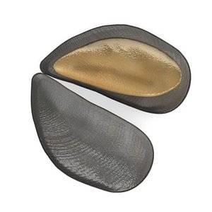 sea shell 3d model