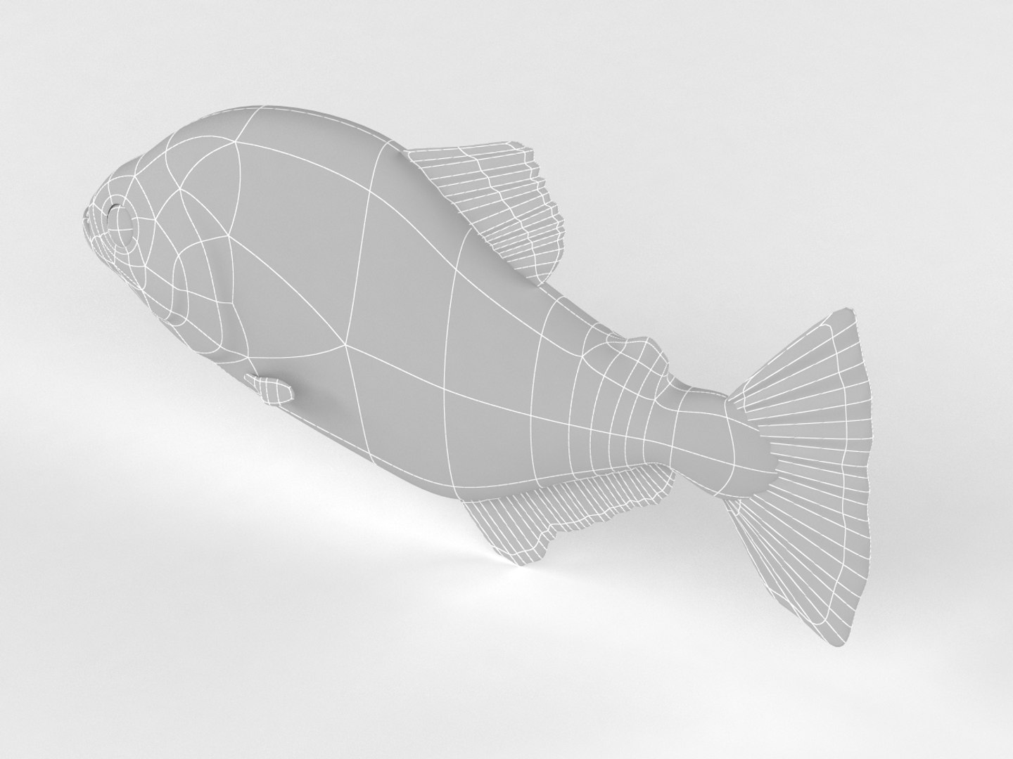 3D piranha modeled model https://p.turbosquid.com/ts-thumb/wL/nqZp1x/6rAMRq1s/020005/png/1540361193/1920x1080/fit_q87/f5542fb2a64a76b96c1ba55a63f544ac34c597b3/020005.jpg