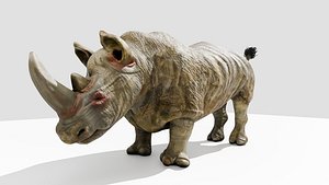 Realistic Rhino 3D Model Game Ready And Unity Package 3D model
