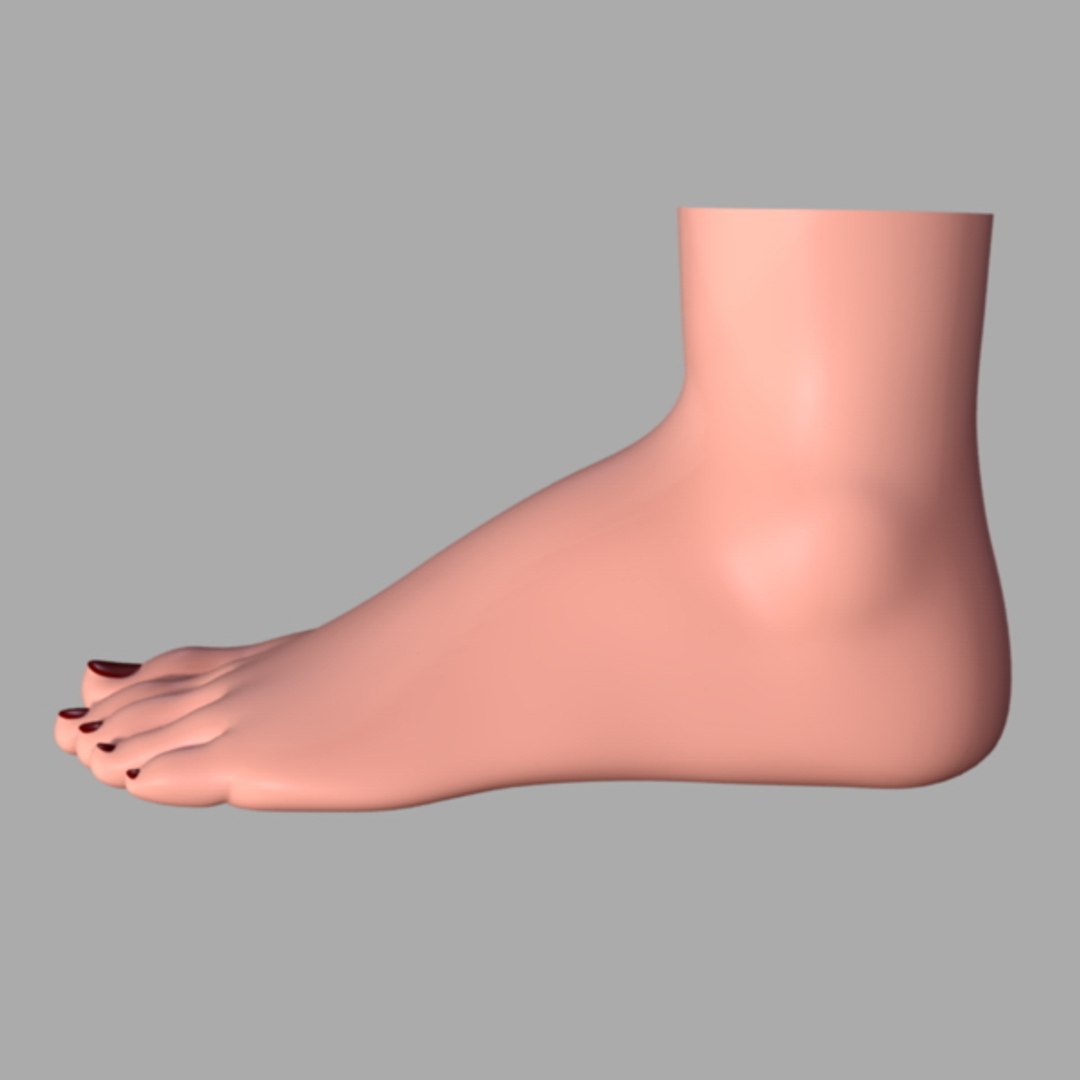 3d woman foot model https://p.turbosquid.com/ts-thumb/wM/BNHcex/CLkpracp/07/jpg/1332453387/1920x1080/fit_q87/b3f928c43a2c4298b451377f65bfcb6953f605a1/07.jpg