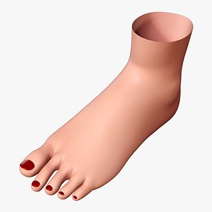3d woman foot model