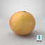 3D grapefruit 01 model