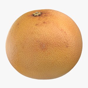 3D grapefruit 01 model