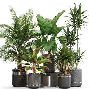 3D model Plants collection 720