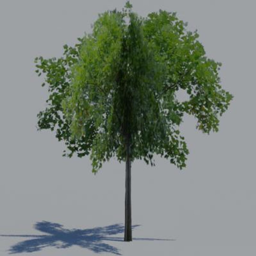 Max Tree Plant