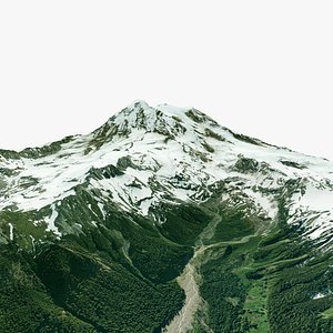 Mount Rainier USA 3D model