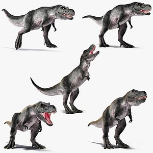 Rigged T Rex Roaring Animated Collection 2 for Maya model
