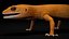 HQ Leopard Gecko Orange