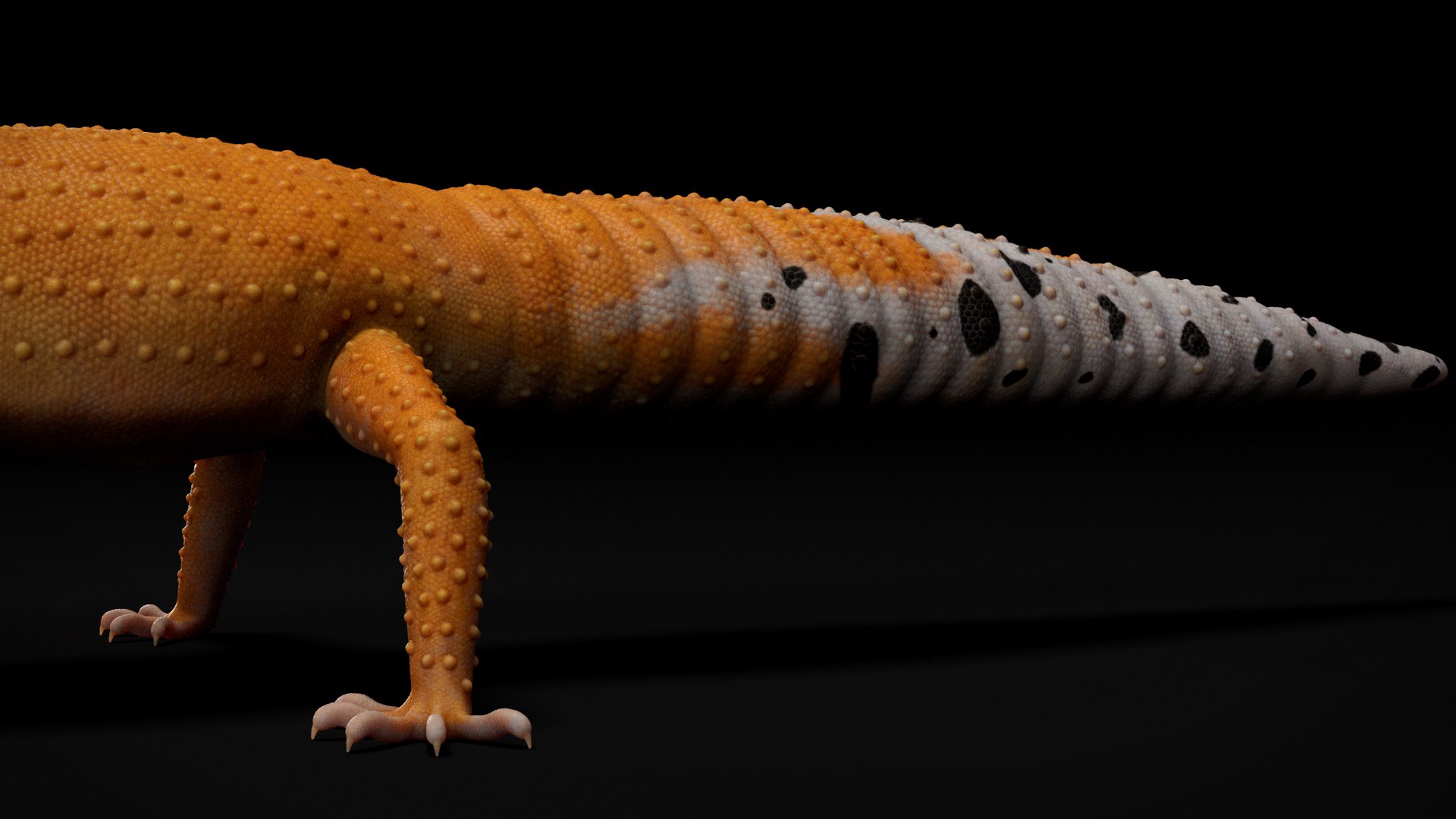 3D HQ Leopard Gecko Orange model https://p.turbosquid.com/ts-thumb/wM/RhLj7X/60/s14copy/jpg/1754844694/1920x1080/fit_q87/83de590e7fe148f51e7fc35395f9b5e3d0c91167/s14copy.jpg