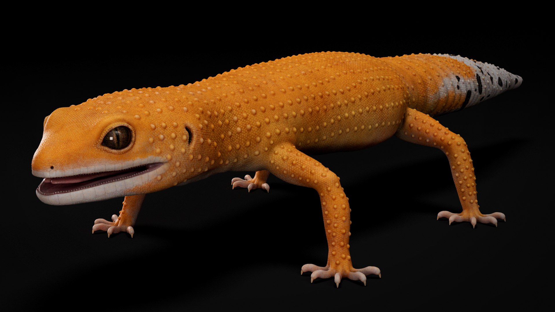 3D HQ Leopard Gecko Orange model https://p.turbosquid.com/ts-thumb/wM/RhLj7X/9h/s1copy/jpg/1754844685/1920x1080/fit_q87/d9bd48923c557fc00a31713a536abd2f56ef235c/s1copy.jpg