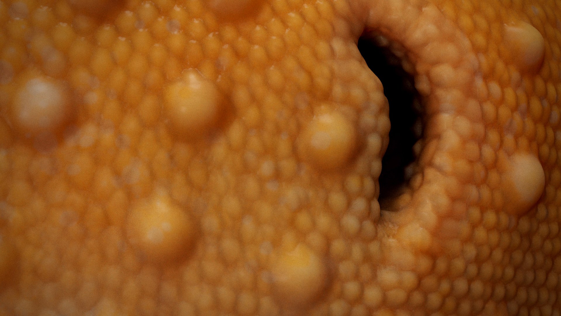 3D HQ Leopard Gecko Orange model https://p.turbosquid.com/ts-thumb/wM/RhLj7X/JW/s3copy/jpg/1754844687/1920x1080/fit_q87/c958d169534cbbc0dcce19f76997489fd7833663/s3copy.jpg