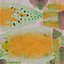 HQ Leopard Gecko Orange