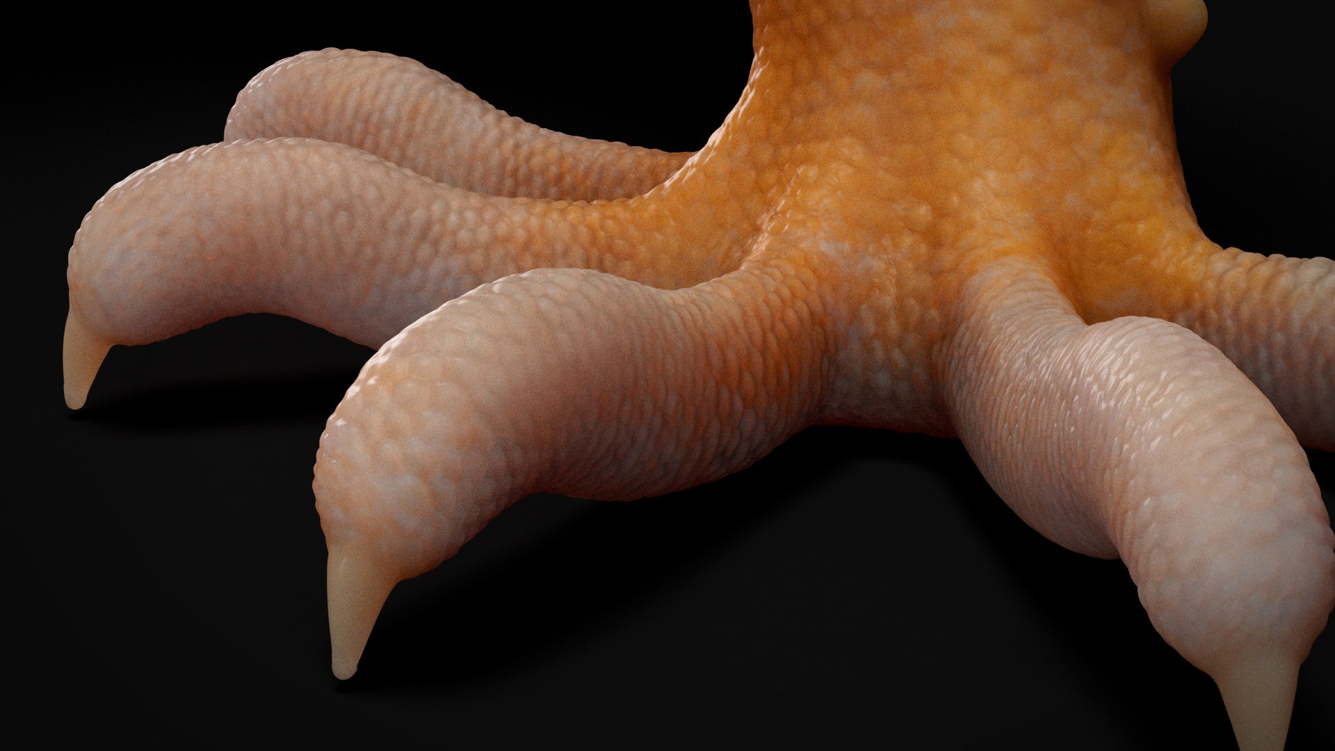 3D HQ Leopard Gecko Orange model https://p.turbosquid.com/ts-thumb/wM/RhLj7X/b6/s8copy/jpg/1754844691/1920x1080/fit_q87/60ac8c7cad3ac48dcf5cc4a1c07a836a250f2348/s8copy.jpg