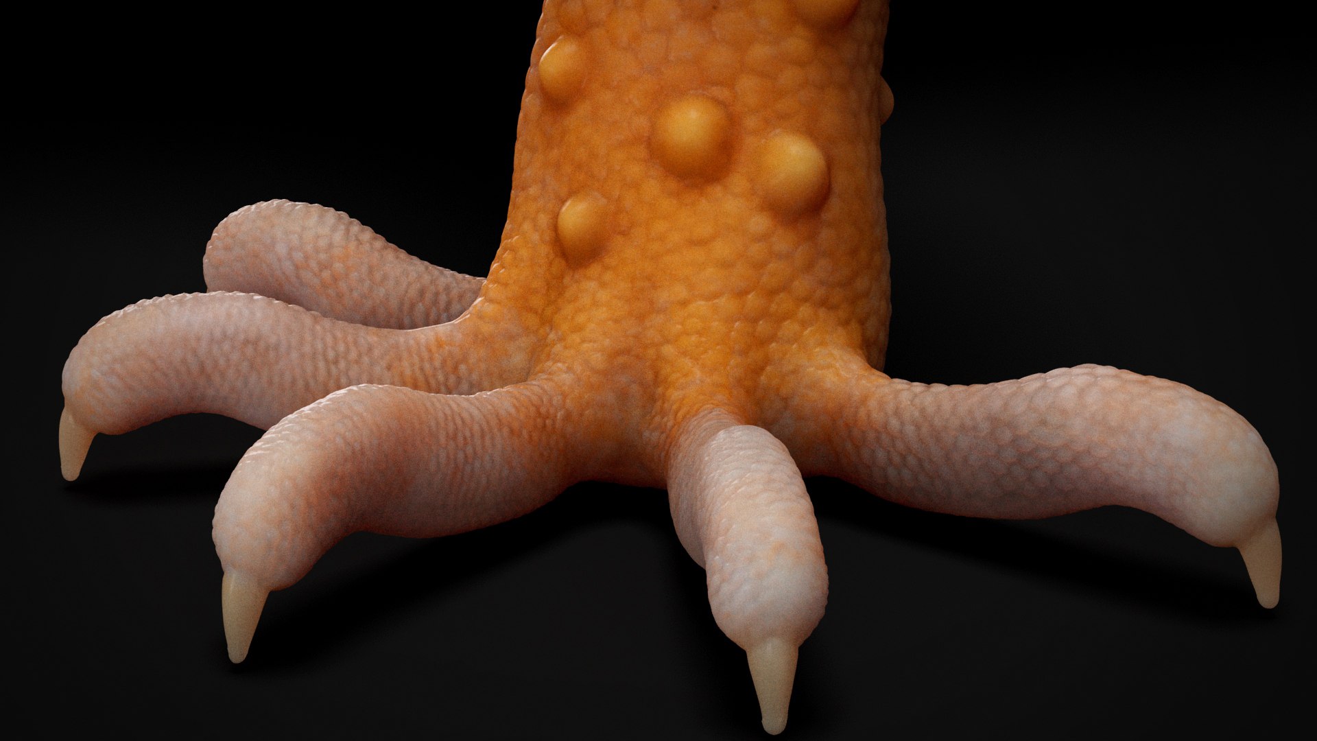 3D HQ Leopard Gecko Orange model https://p.turbosquid.com/ts-thumb/wM/RhLj7X/oR/s9copy/jpg/1754844690/1920x1080/fit_q87/85f0036476959dd6168f6a97cc96fd02c9246aaa/s9copy.jpg