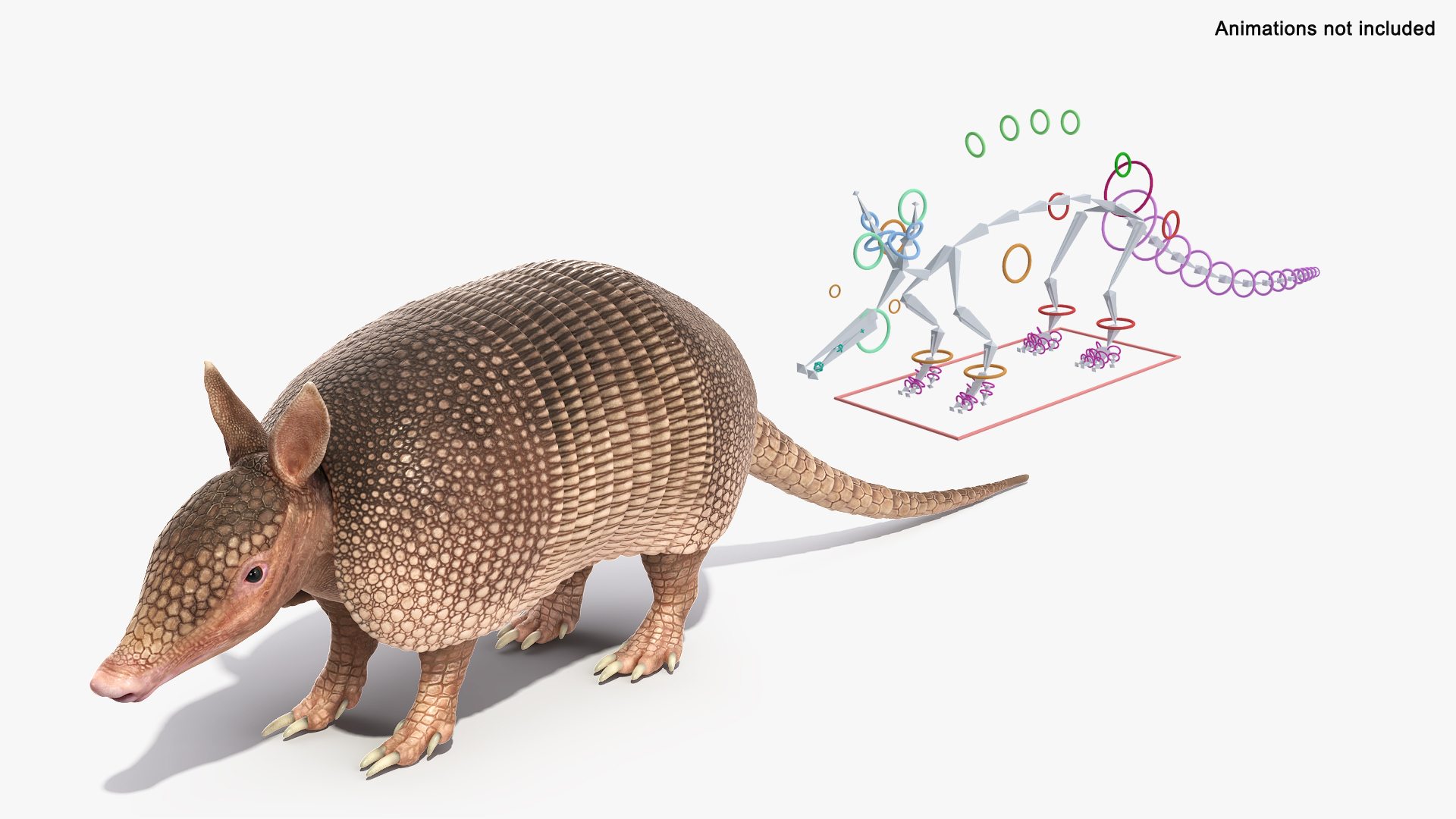 3D Armadillo Pink Rigged Model - TurboSquid 2248557