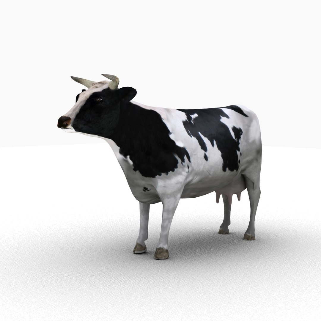 3d cow rigged model