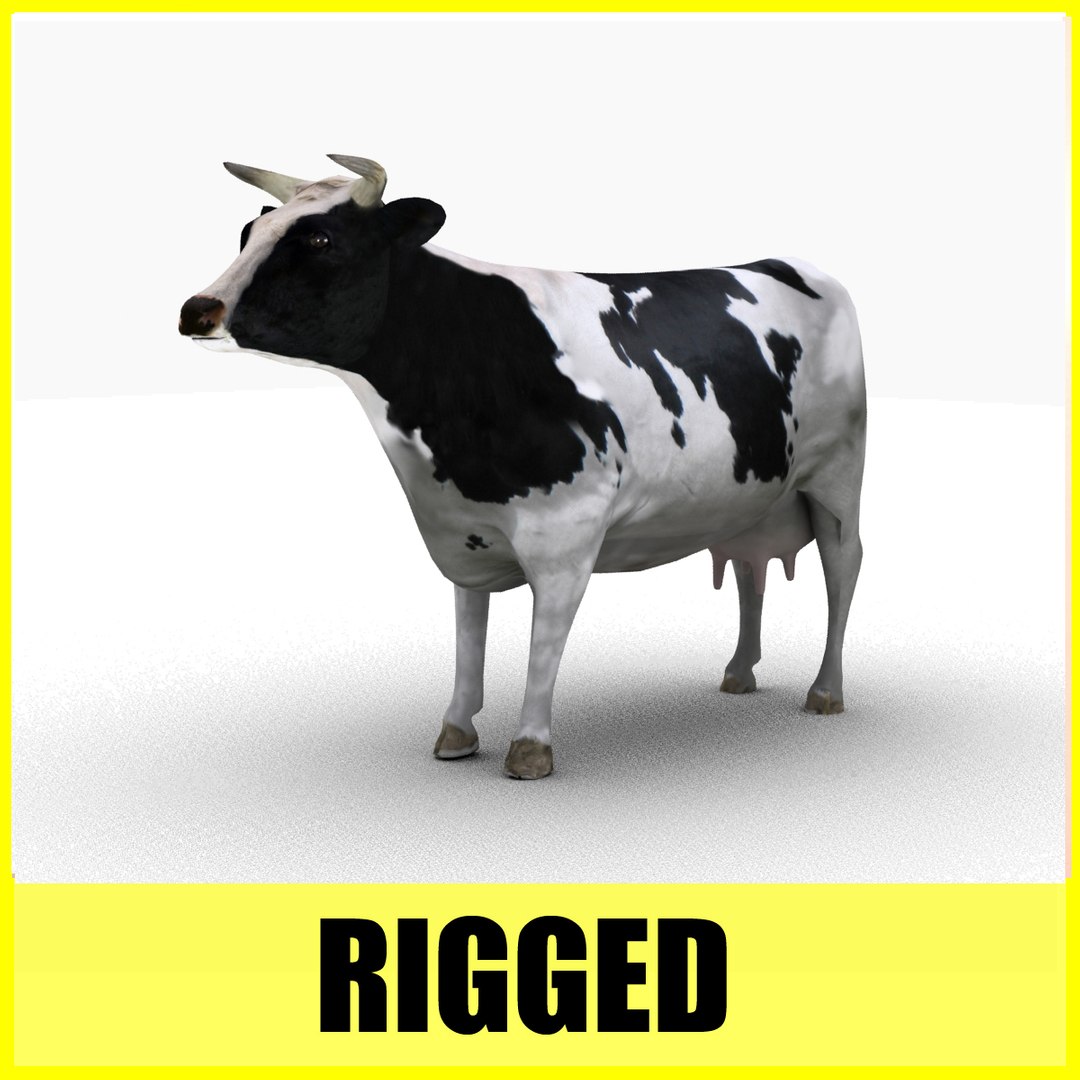 3d cow rigged model